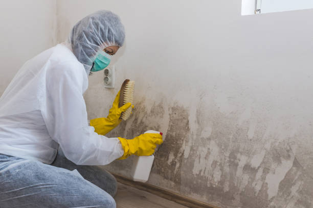 Crawl Space Mold Removal in Keshena, WI